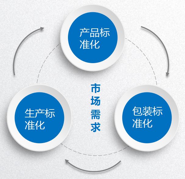 茄子视频APP污下载加盟