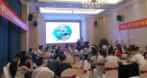 2019茄子视频APP污下载整体软装设计方案输出培训
