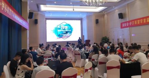 2019茄子视频APP污下载整体软装设计方案输出培训