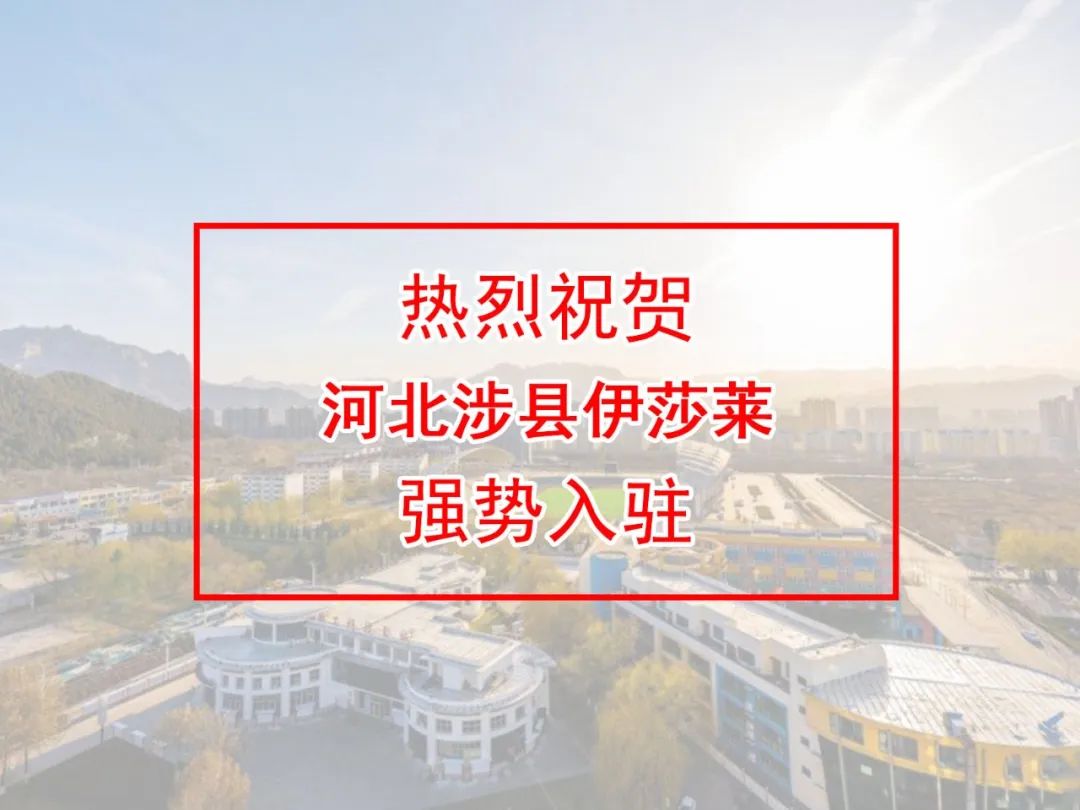 河北窗帘加盟-河北邯郸涉县茄子视频APP污下载窗帘专卖店